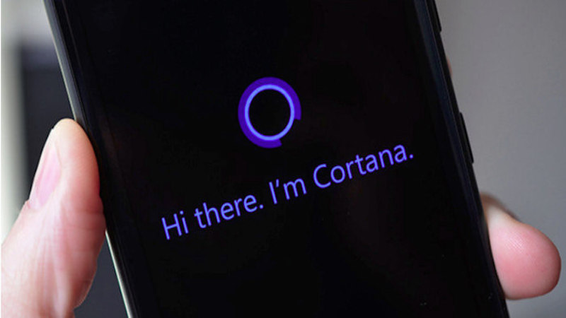 бот Cortana